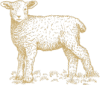 lamb-icon-cropped